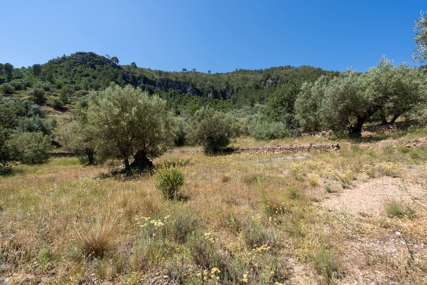 Finca/Landehus til salg i Pauls - € 28.000 (Ref: 9023302)