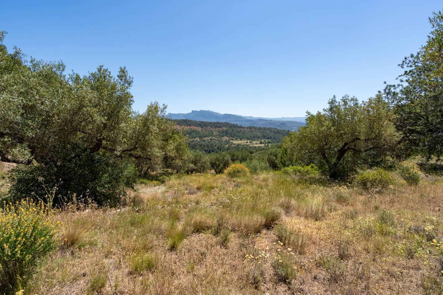 Finca/Landehus til salg i Pauls - € 28.000 (Ref: 9023302)