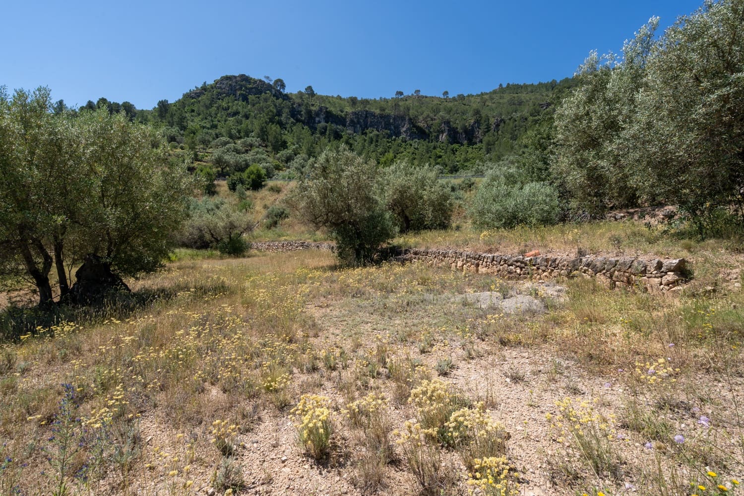 Finca/Landehus til salg i Pauls - € 28.000 (Ref: 9023302)