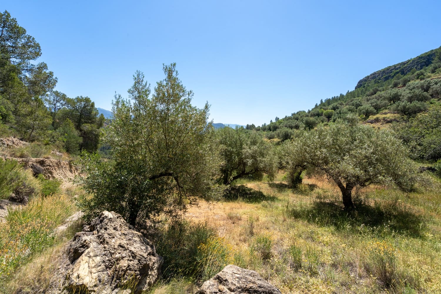 Finca/Landehus til salg i Pauls - € 28.000 (Ref: 9023302)