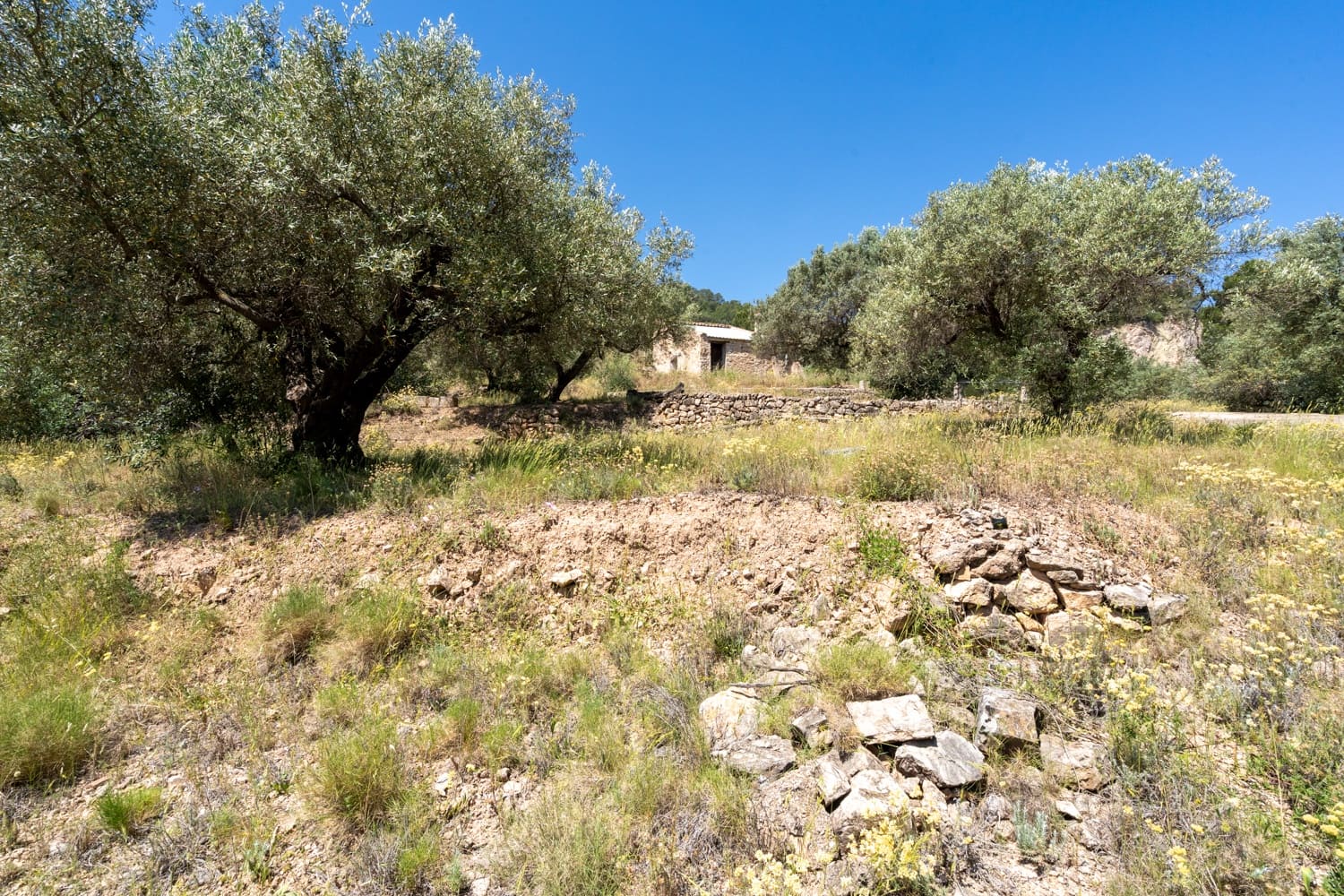 Finca/Landehus til salg i Pauls - € 28.000 (Ref: 9023302)