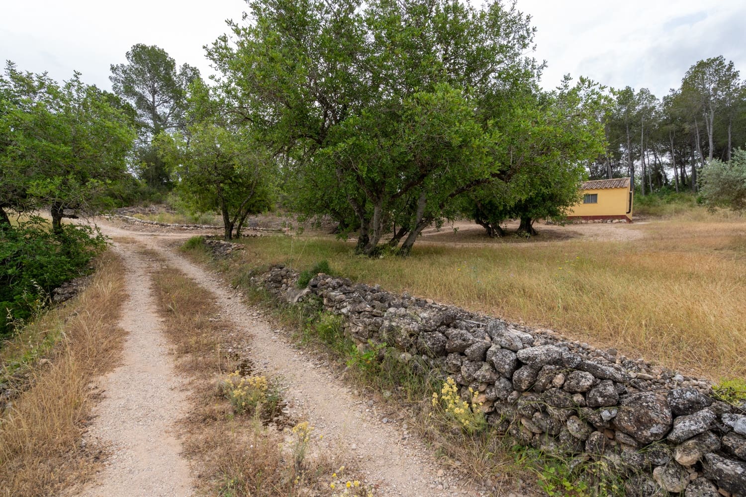 Finca/Landehus til salg i Aldover - € 55.000 (Ref: 9026205)