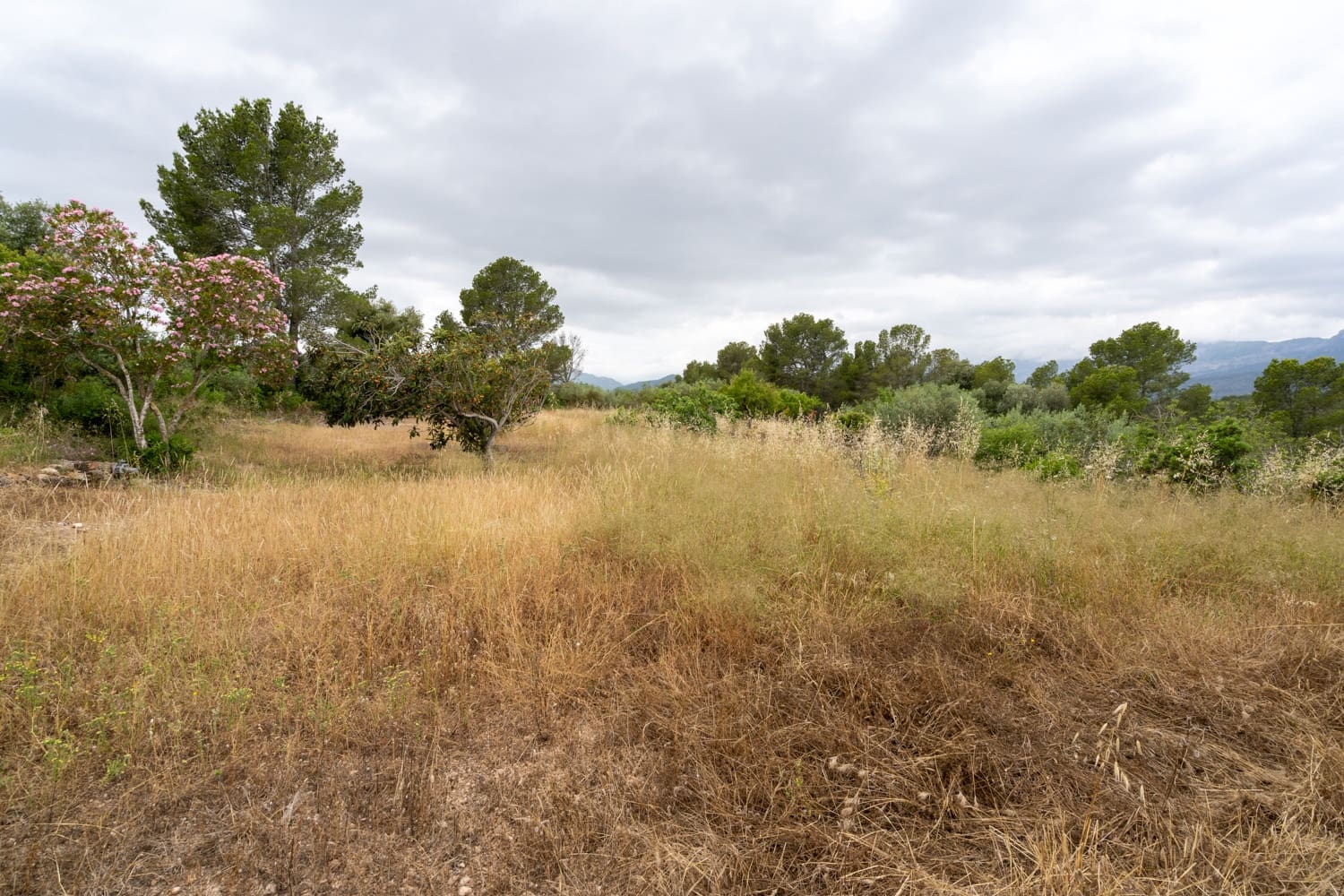 Finca/Landehus til salg i Aldover - € 55.000 (Ref: 9026205)