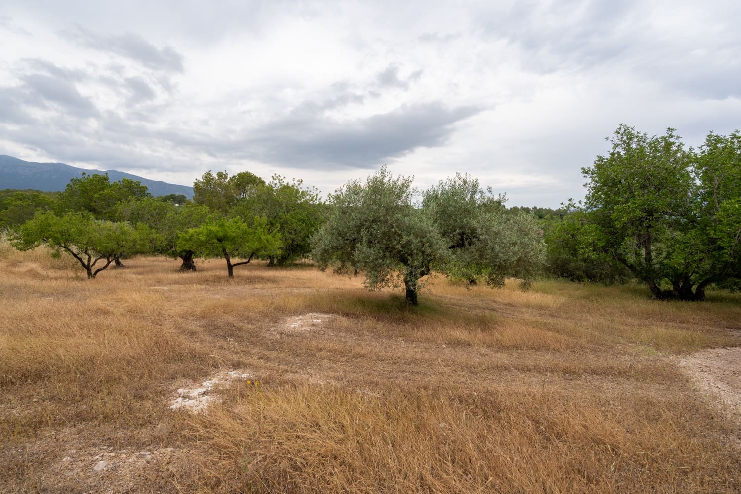 Finca/Landehus til salg i Aldover - € 55.000 (Ref: 9026205)