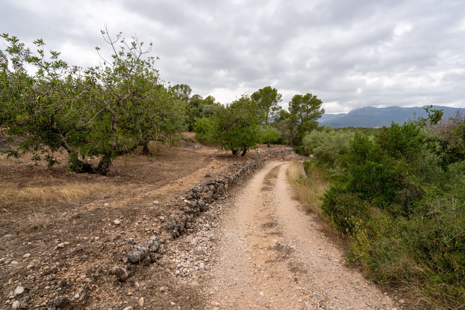 Finca/Landehus til salg i Aldover - € 55.000 (Ref: 9026205)