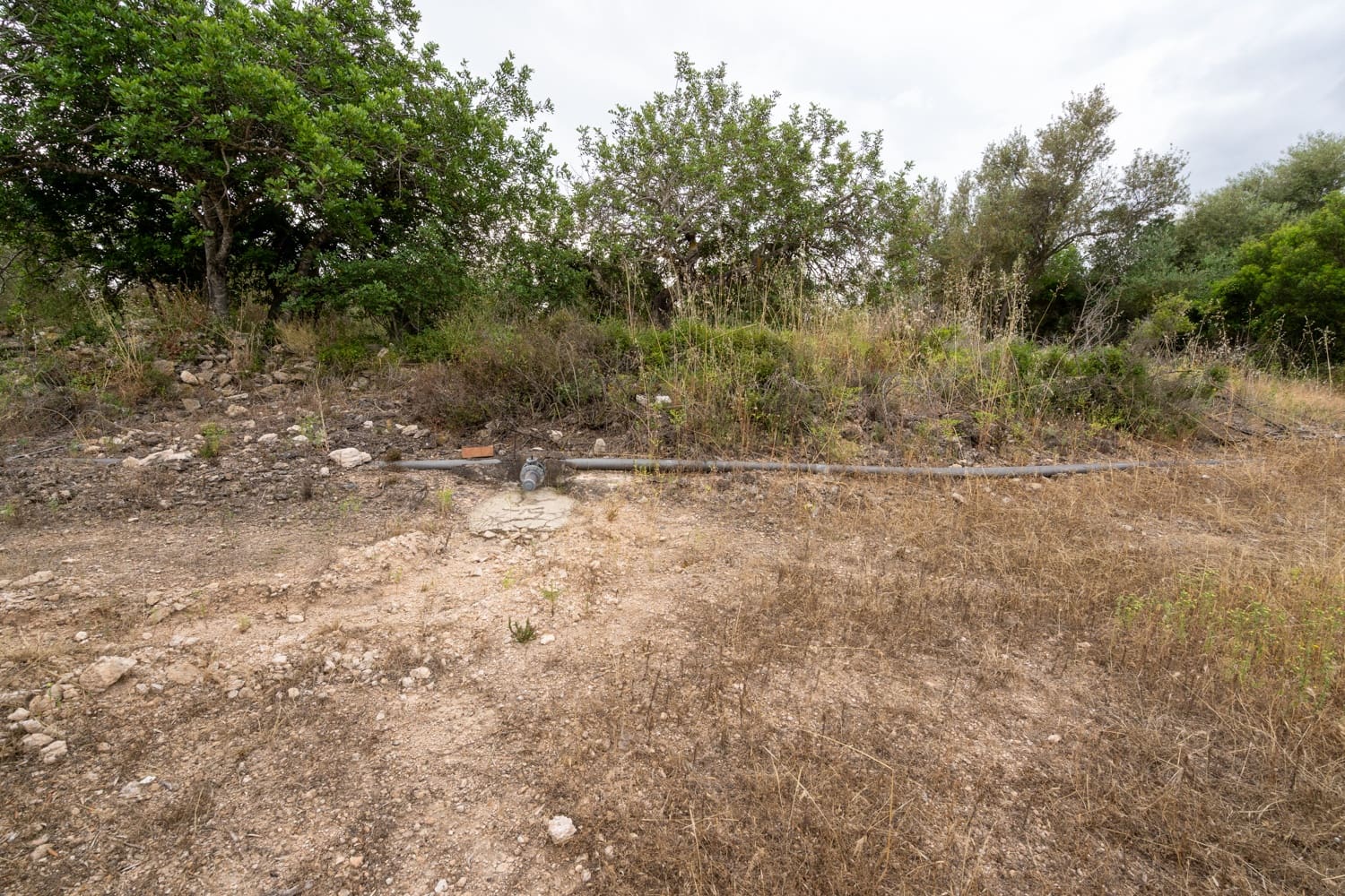 Finca/Landehus til salg i Aldover - € 55.000 (Ref: 9026205)