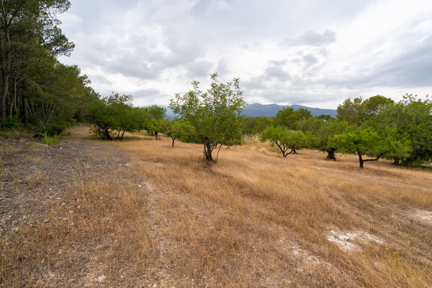 Finca/Landehus til salg i Aldover - € 55.000 (Ref: 9026205)