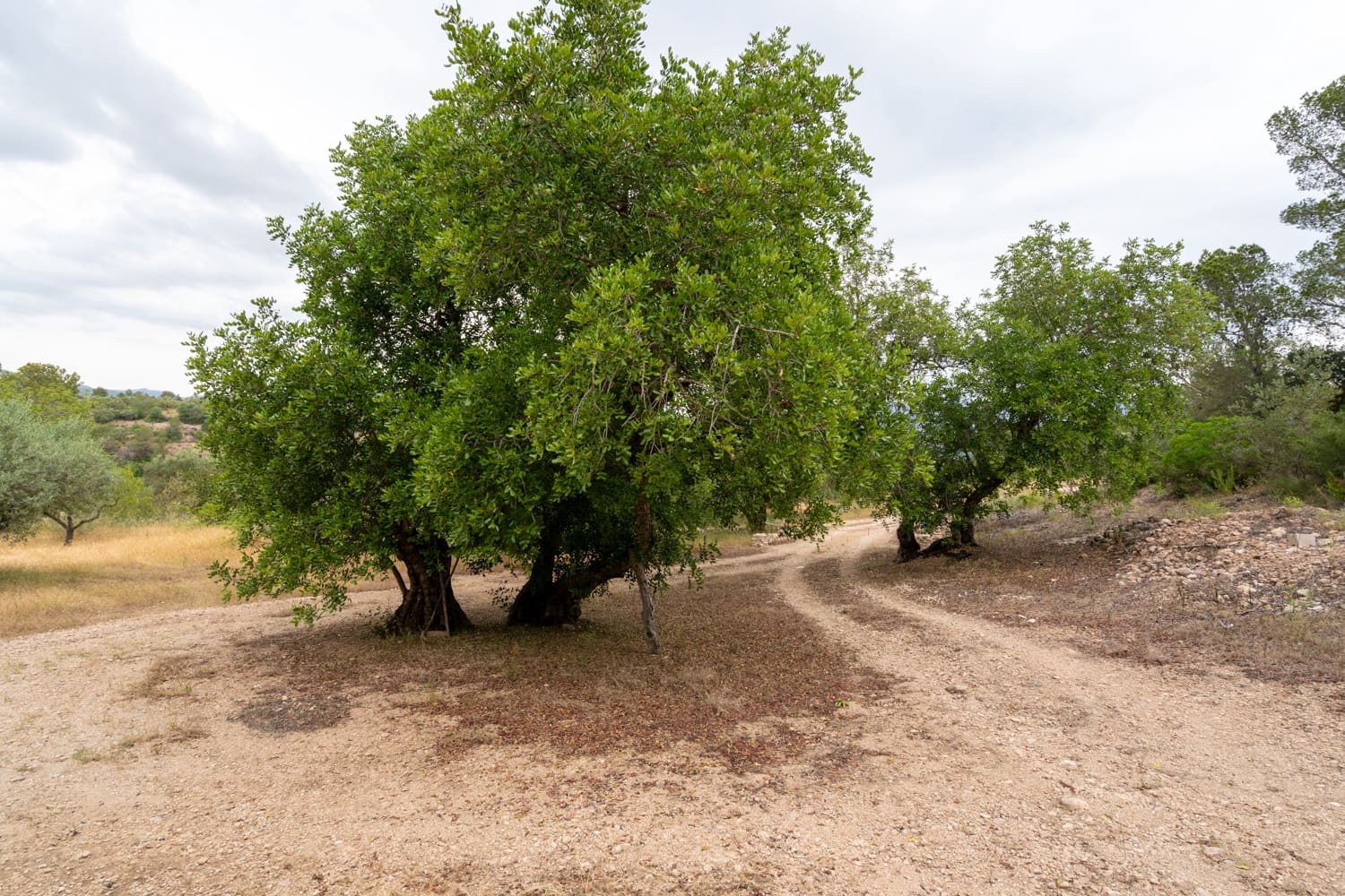 Finca/Landehus til salg i Aldover - € 55.000 (Ref: 9026205)