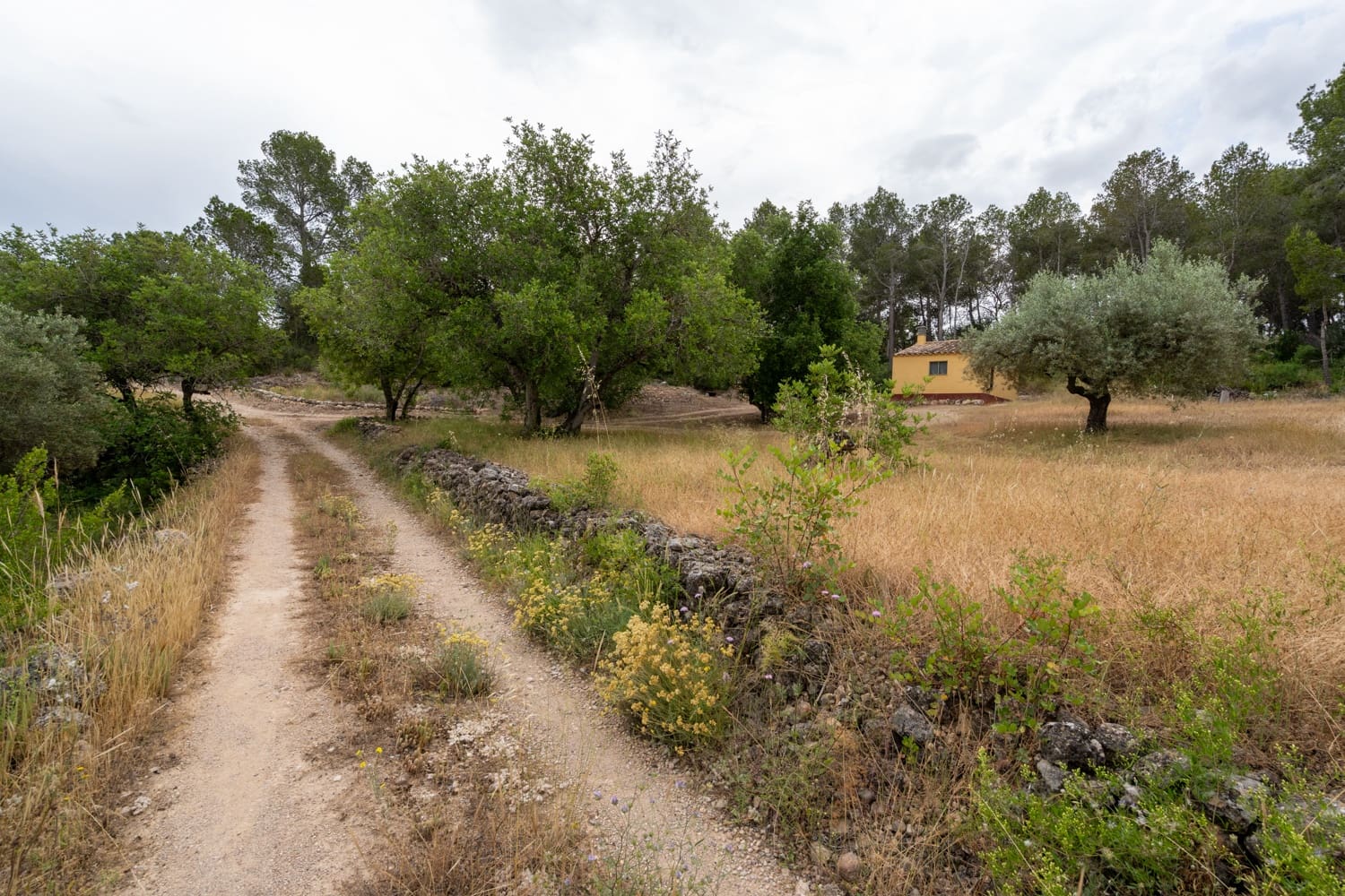 Finca/Landehus til salg i Aldover - € 55.000 (Ref: 9026205)