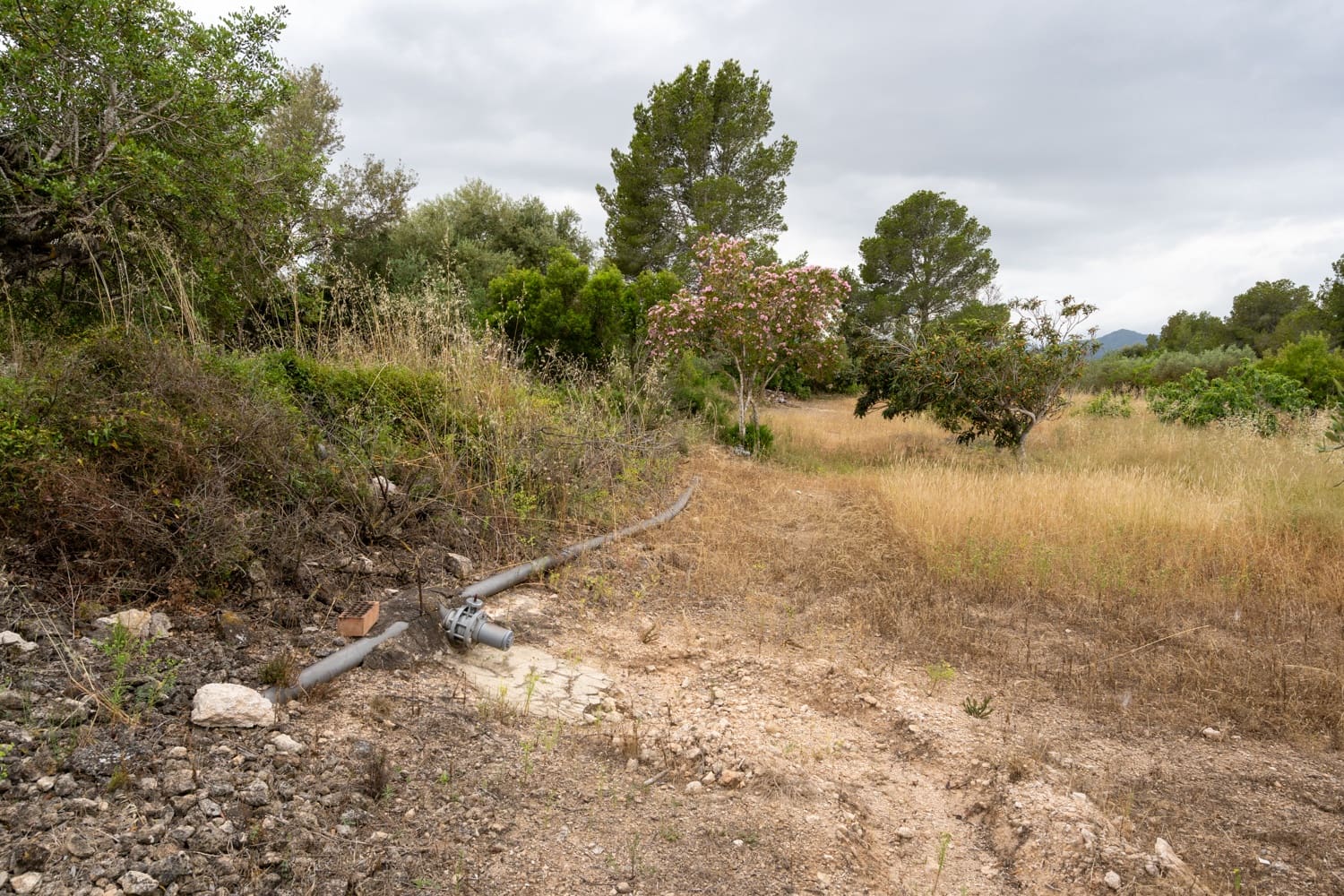 Finca/Landehus til salg i Aldover - € 55.000 (Ref: 9026205)