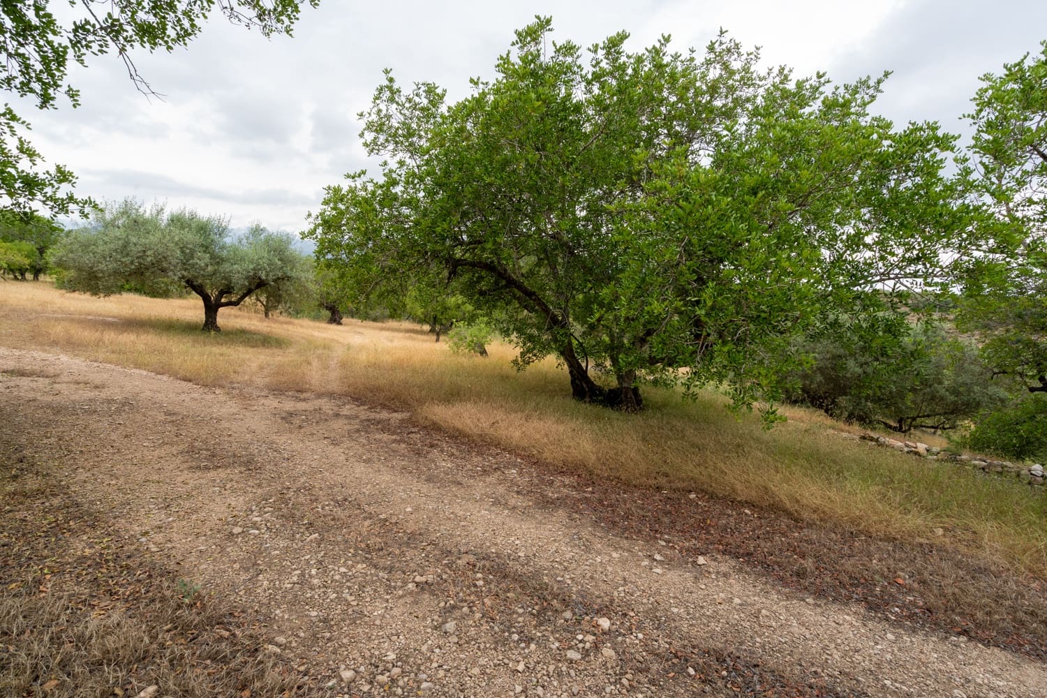 Finca/Landehus til salg i Aldover - € 55.000 (Ref: 9026205)