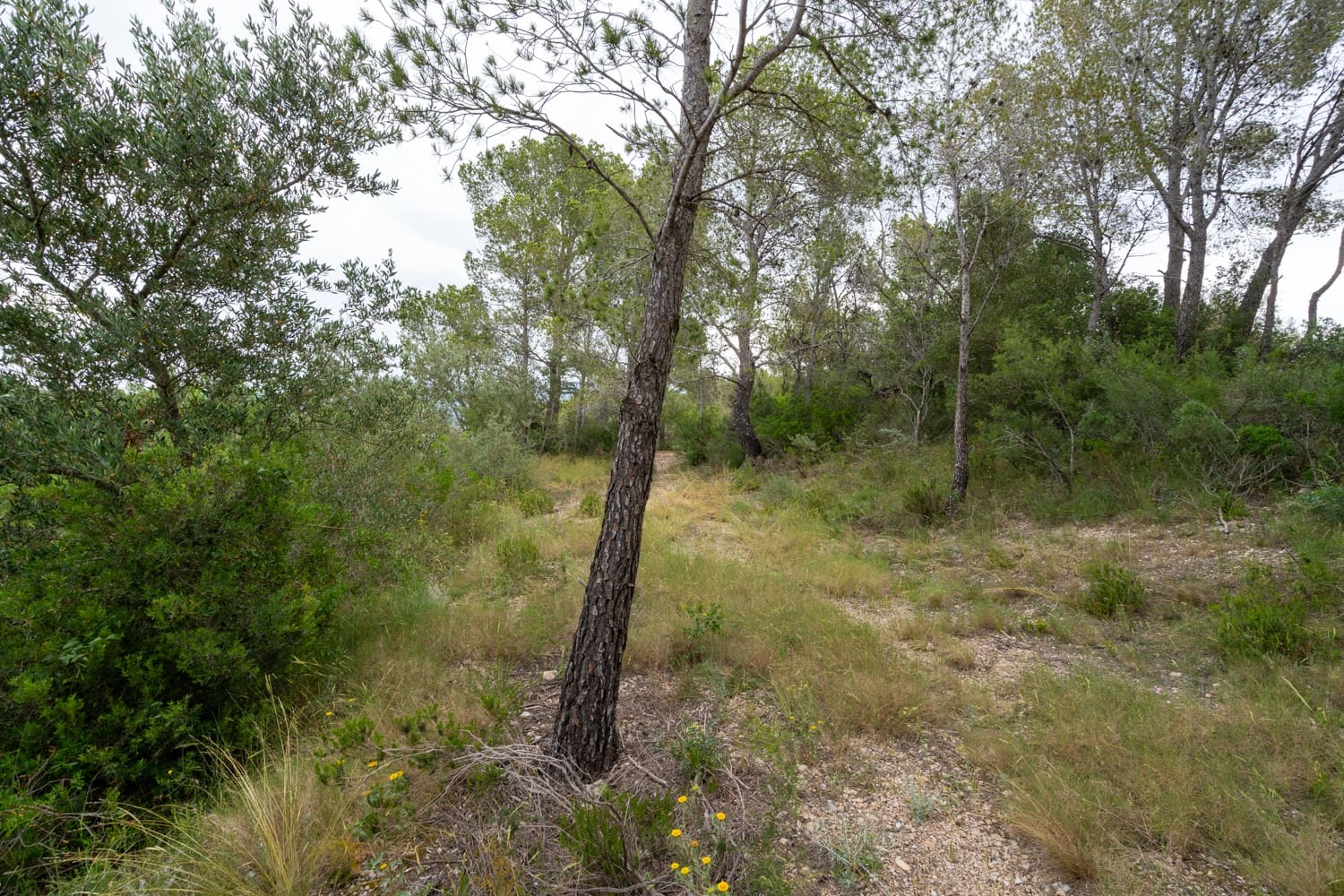 Finca/Landehus til salg i Aldover - € 55.000 (Ref: 9026205)