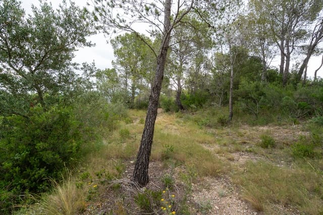 Finca/Casa di Campagna in vendita in Aldover - 55.000 € (Rif: 9026205)