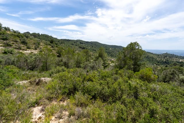 Finka/Dom wiejski na sprzedaż w Tortosa - 9 000 € (Ref: 9036987)