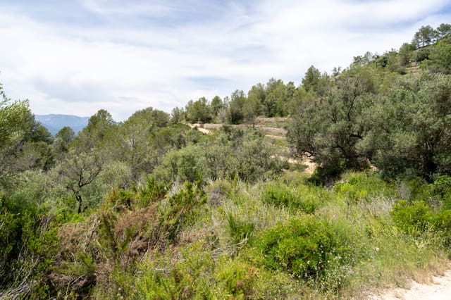 Finka/Dom wiejski na sprzedaż w Tortosa - 9 000 € (Ref: 9036987)