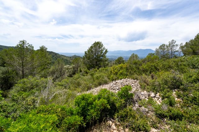 Finka/Dom wiejski na sprzedaż w Tortosa - 9 000 € (Ref: 9036987)