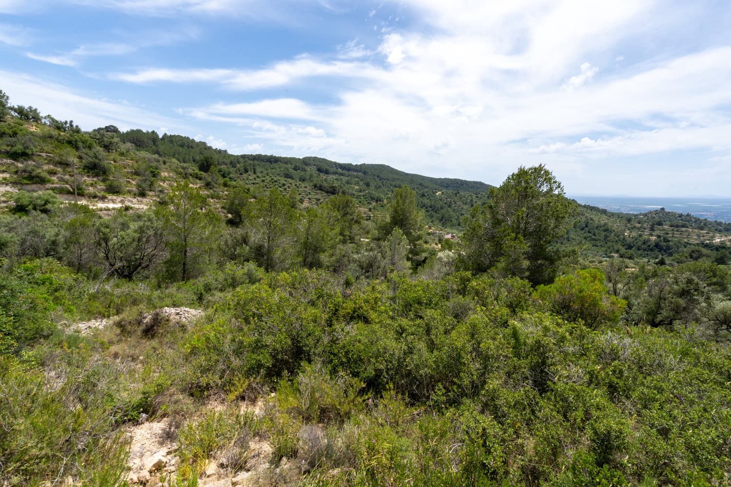 Finca/Herregård til salgs i Tortosa - € 9 000 (Ref: 9036987)