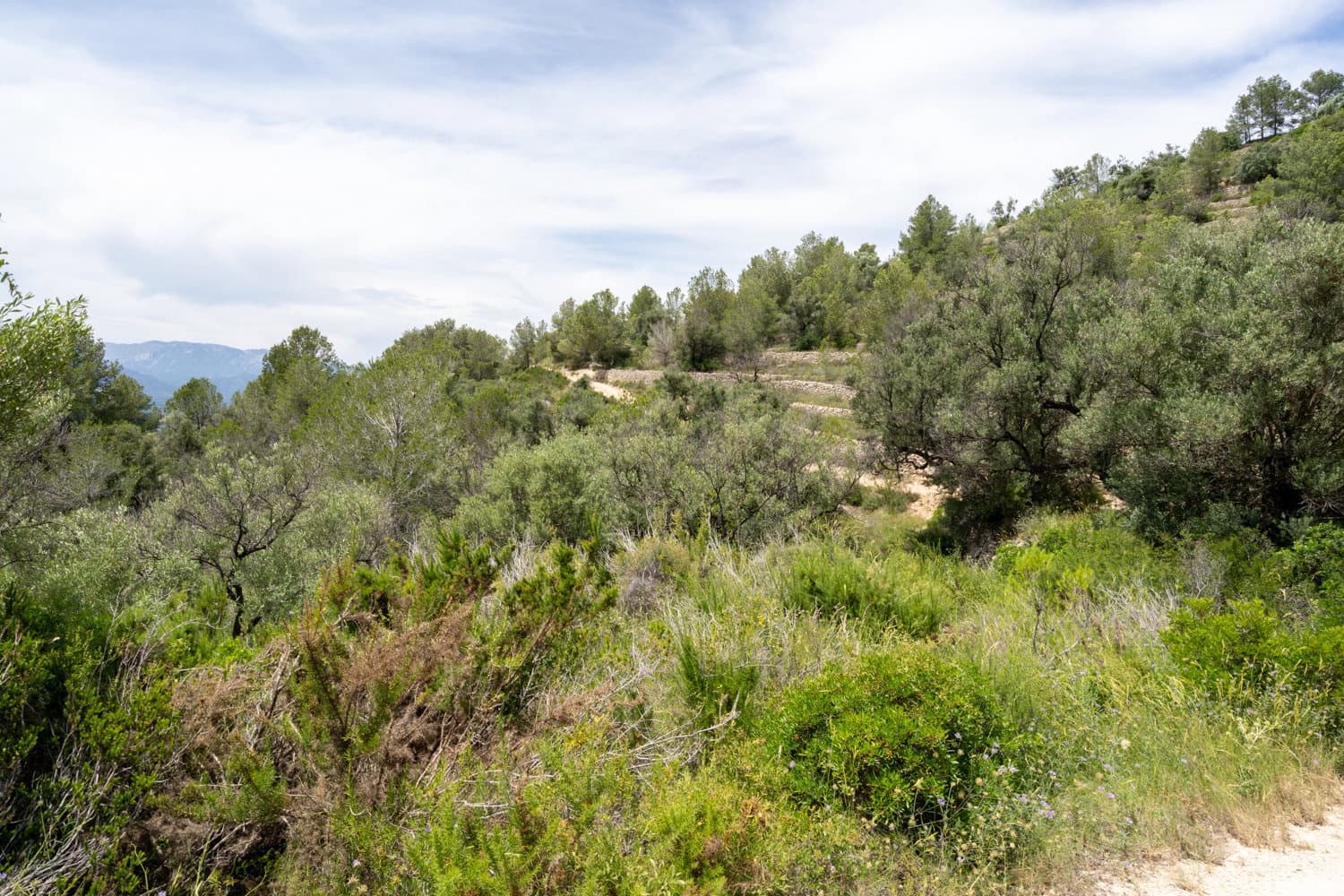 Finca/Herregård til salgs i Tortosa - € 9 000 (Ref: 9036987)