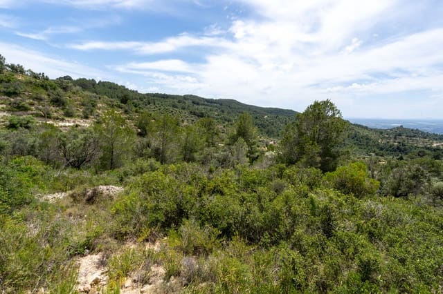 Finca/Casa Rural en Tortosa en venta - 9.000 € (Ref: 9036987)