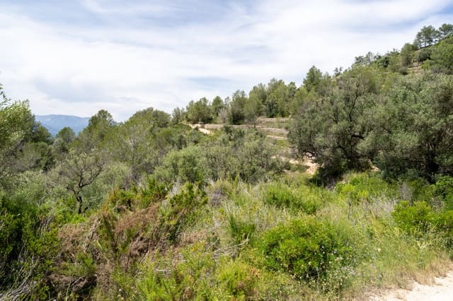Finca/Casa Rural en Tortosa en venta - 9.000 € (Ref: 9036987)