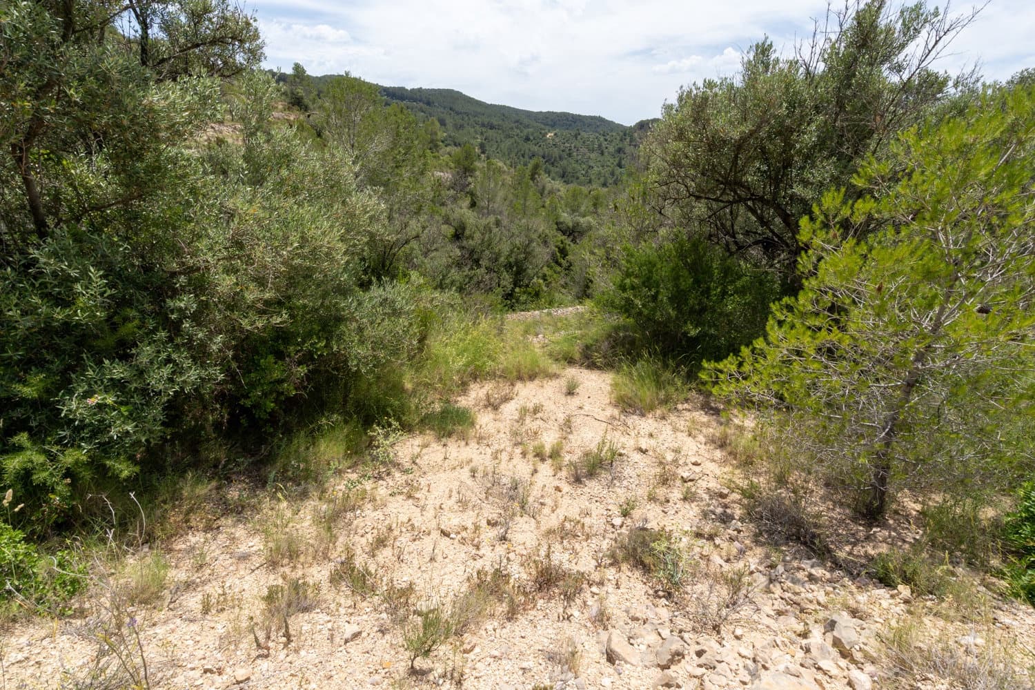 Finca/Herregård til salgs i Tortosa - € 9 000 (Ref: 9036987)
