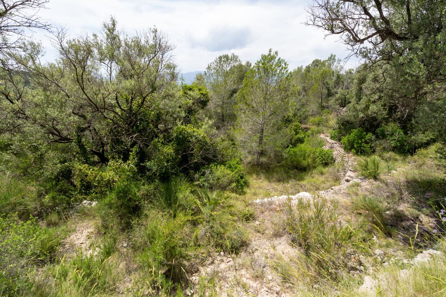 Finca/Herregård til salgs i Tortosa - € 9 000 (Ref: 9036987)