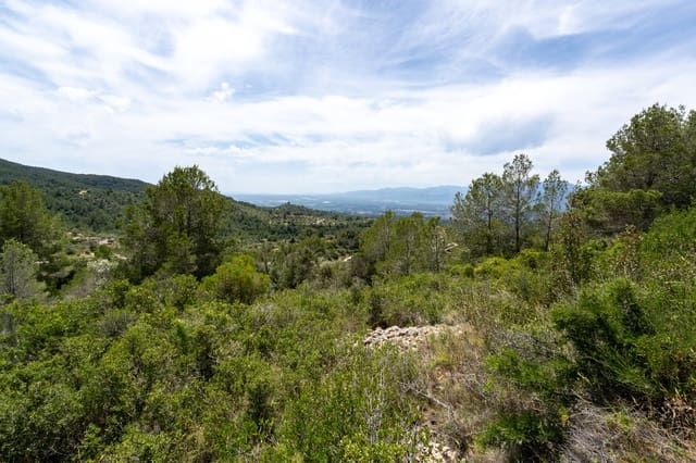 Finca/Casa Rural en Tortosa en venta - 9.000 € (Ref: 9036987)