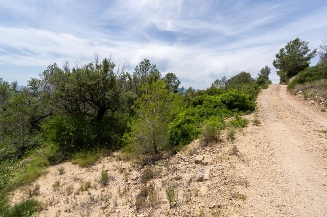 Finca/Casa Rural en Tortosa en venta - 9.000 € (Ref: 9036987)