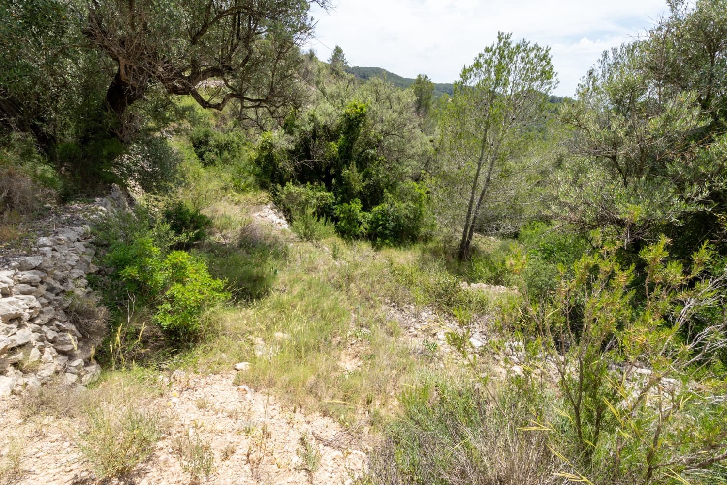 Finca/Herregård til salgs i Tortosa - € 9 000 (Ref: 9036987)