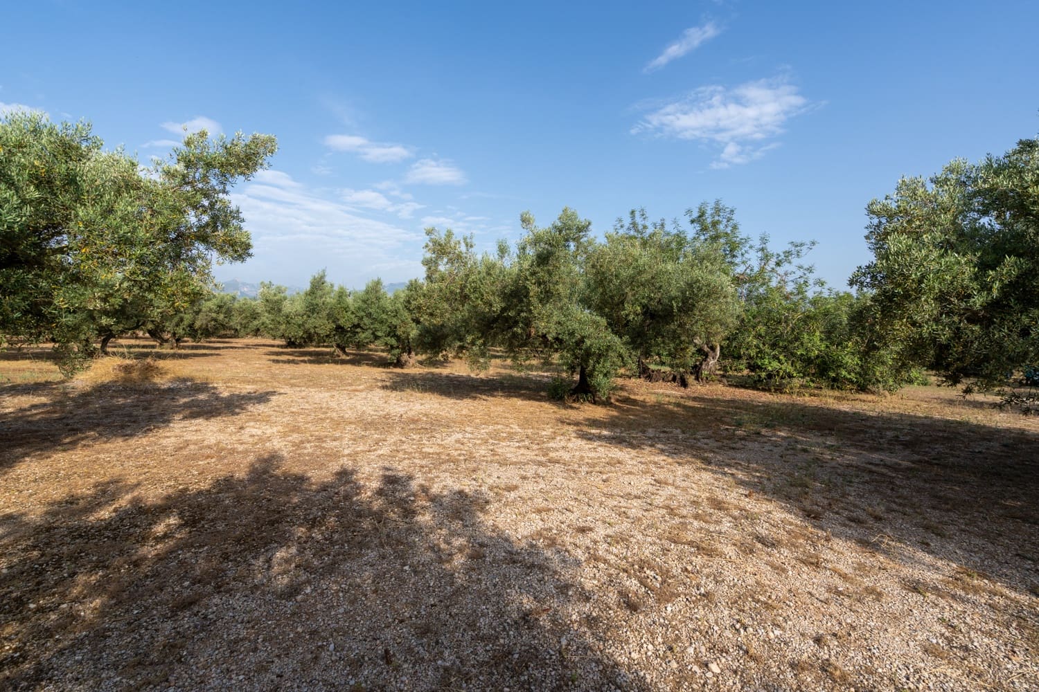 Quinta/Casa Rural para venda em Roquetes - 27 000 € (Ref: 9057103)