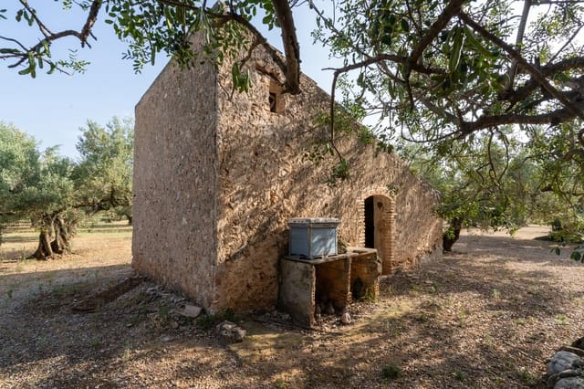 Quinta/Casa Rural para venda em Roquetes - 27 000 € (Ref: 9057103)