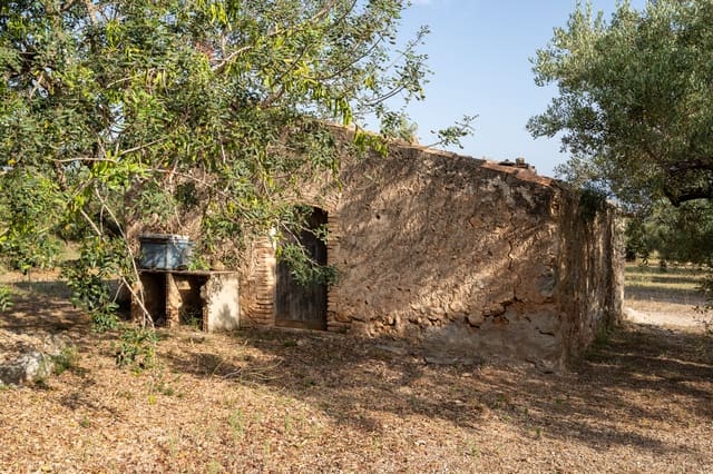 Quinta/Casa Rural para venda em Roquetes - 27 000 € (Ref: 9057103)