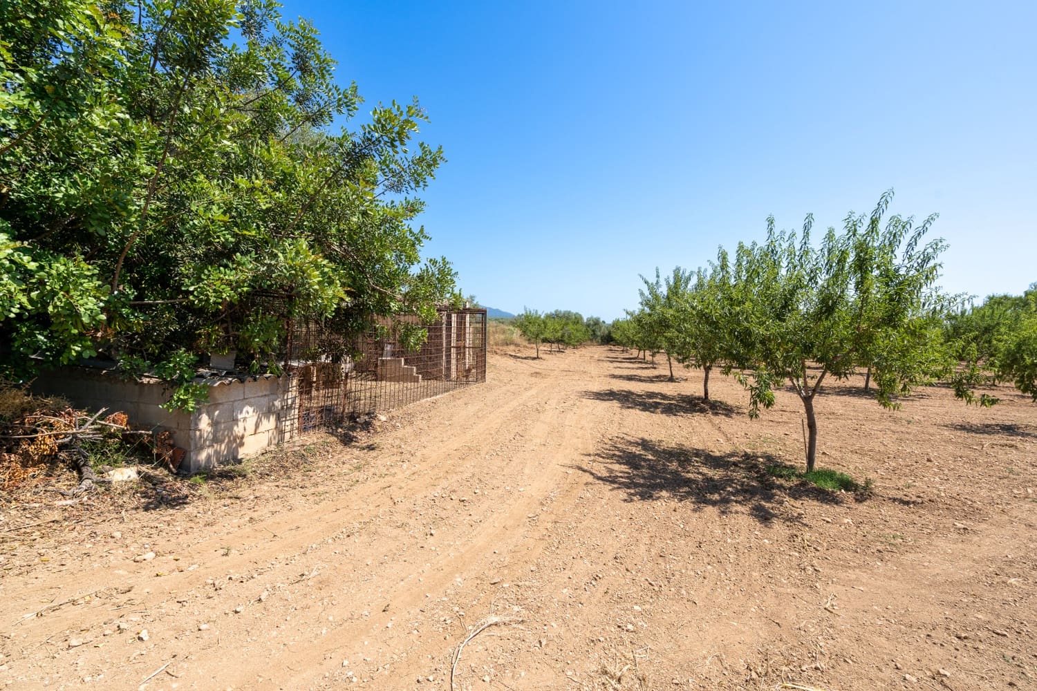 Finca/Herregård til salgs i La Senia - € 12 500 (Ref: 9095916)