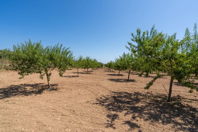 Finca/Country House for sale in La Sénia - € 12,500 (Ref: 9095916)