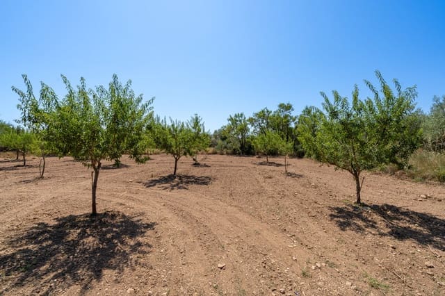 Finca/Herregård til salgs i La Sénia - € 11 500 (Ref: 9095916)