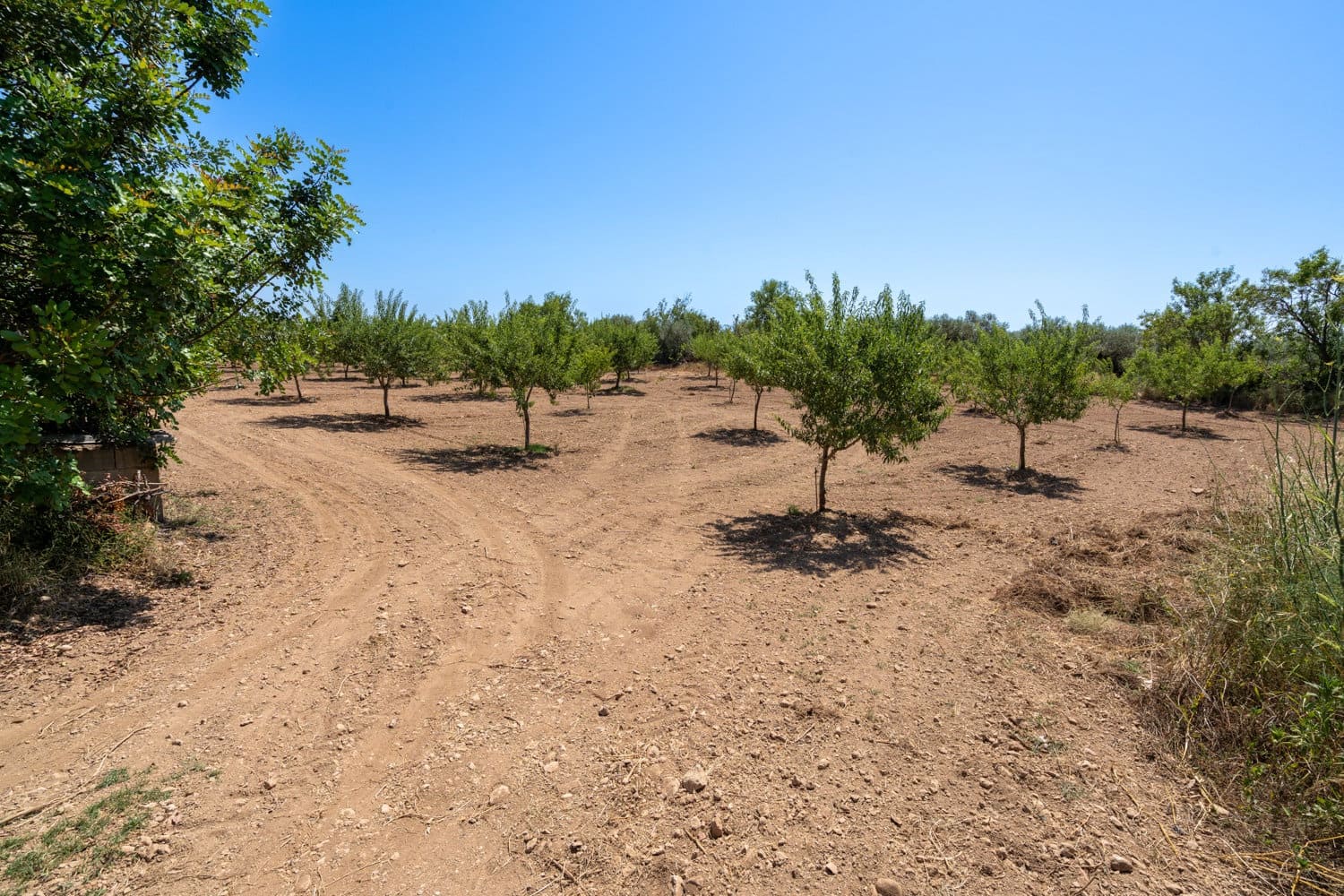Finca/Herregård til salgs i La Senia - € 11 500 (Ref: 9095916)