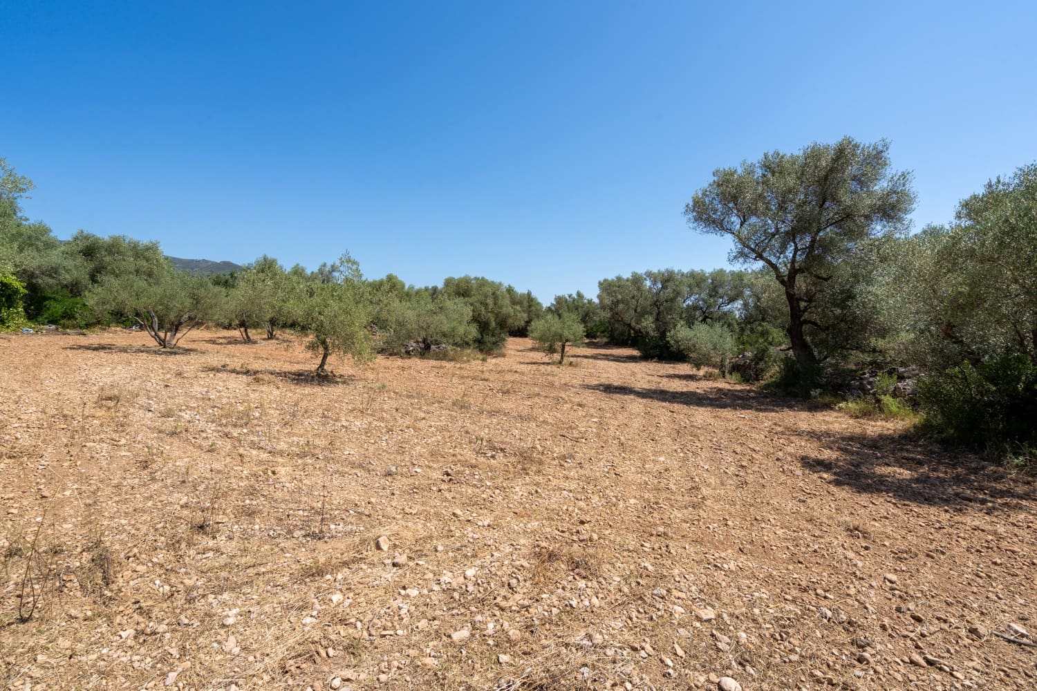 Finca/Herregård til salgs i La Senia - € 17 500 (Ref: 9096208)