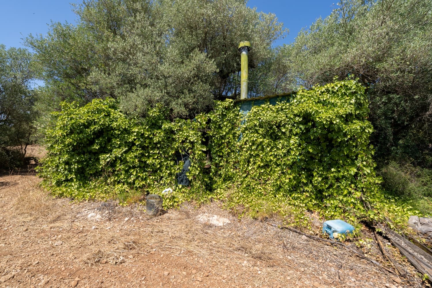 Finca/Herregård til salgs i La Senia - € 17 500 (Ref: 9096208)