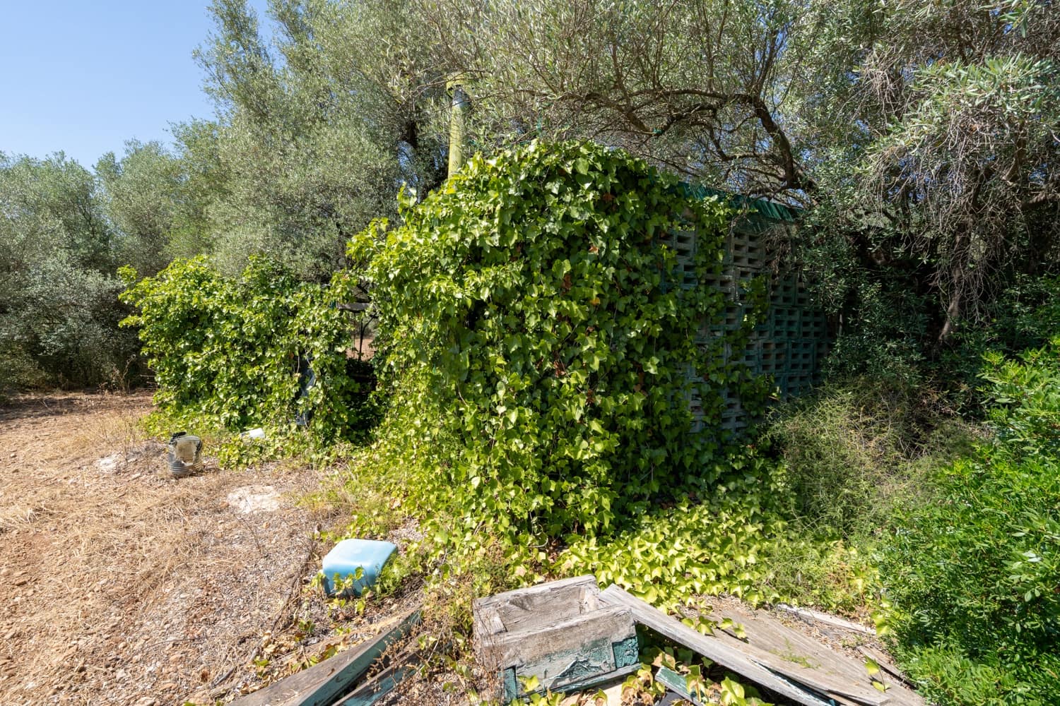 Finca/Herregård til salgs i La Senia - € 17 500 (Ref: 9096208)