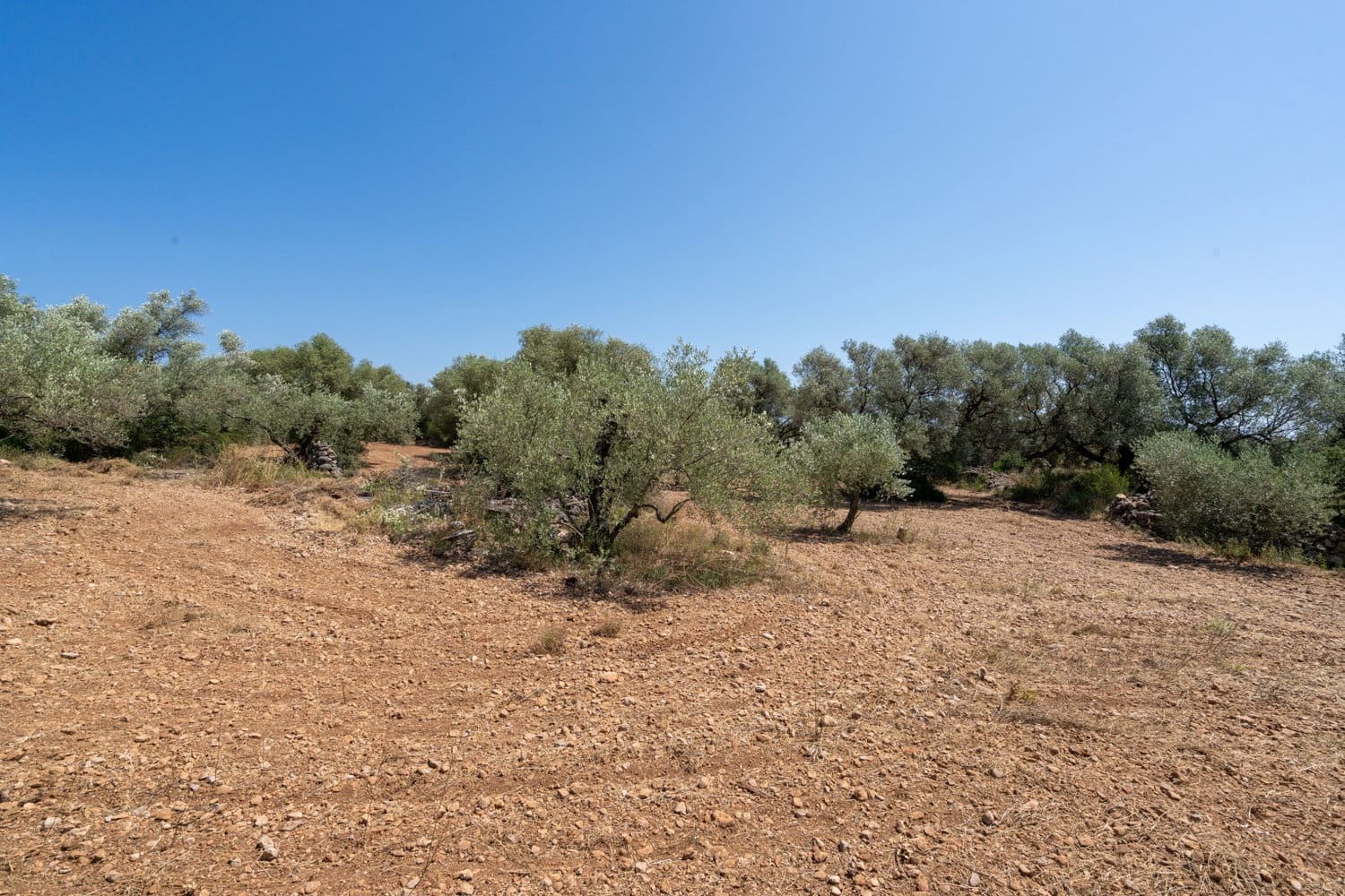 Finca/Herregård til salgs i La Senia - € 16 000 (Ref: 9096208)