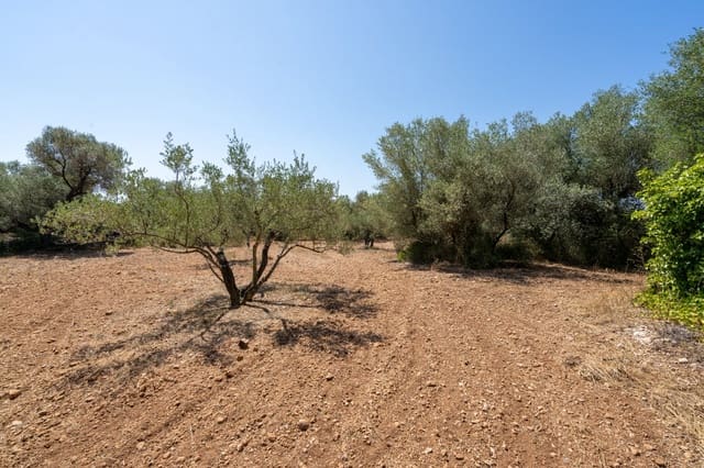 Finca/Casa di Campagna in vendita in La Sénia - 16.000 € (Rif: 9096208)