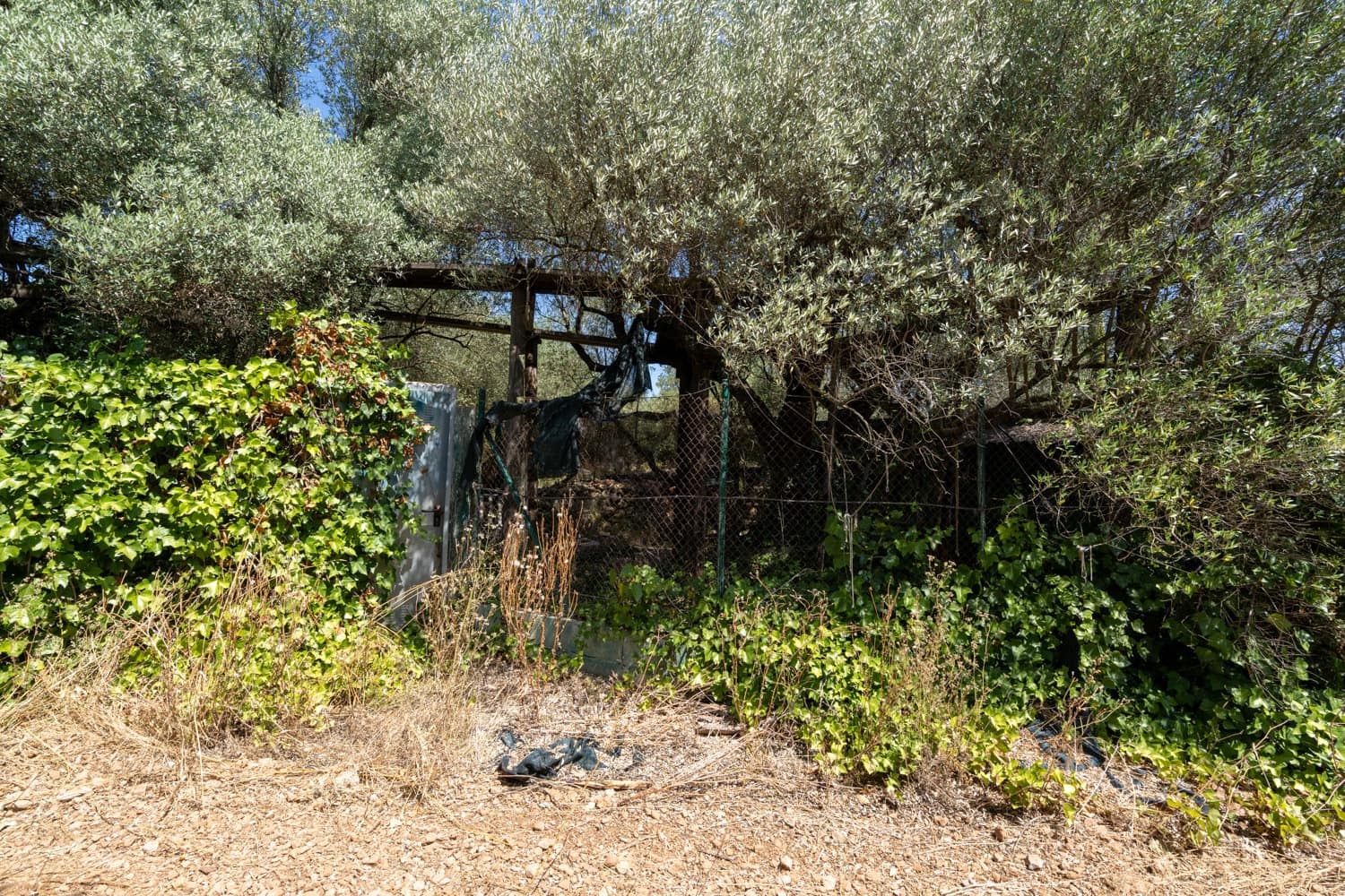 Finca/Herregård til salgs i La Senia - € 16 000 (Ref: 9096208)