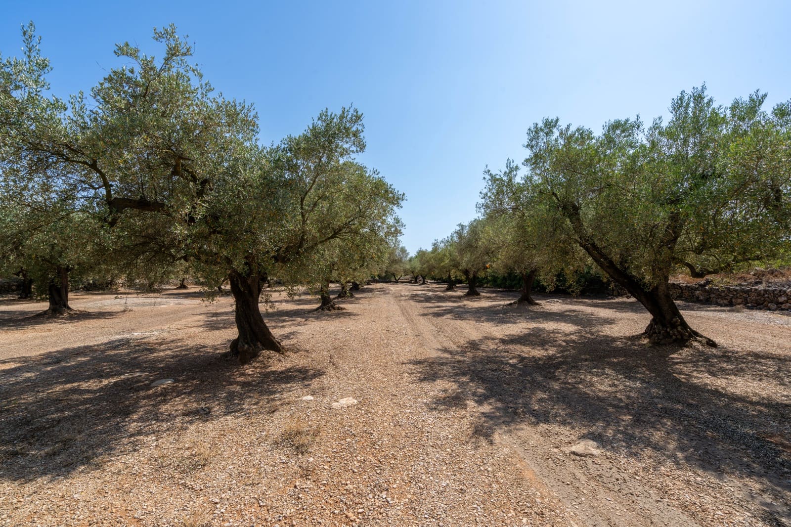 Finca/Country House for sale in Ulldecona - € 34,000 (Ref: 9096252)
