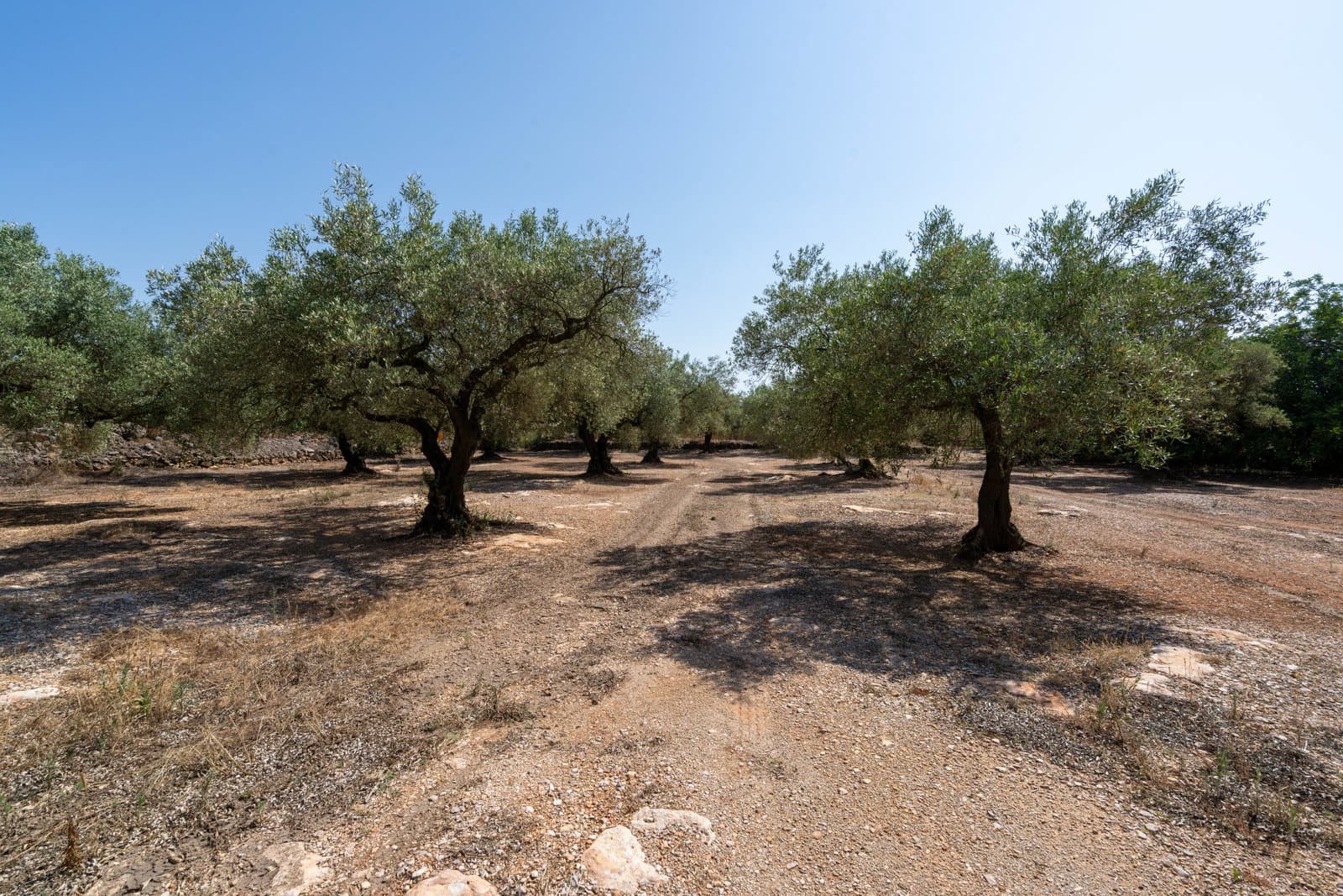 Finca/Herregård til salgs i Ulldecona - € 34 000 (Ref: 9096252)