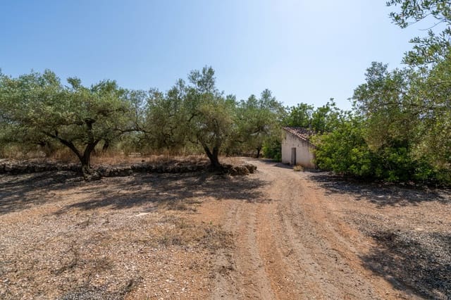 Finca/Herregård til salgs i Ulldecona - € 34 000 (Ref: 9096252)