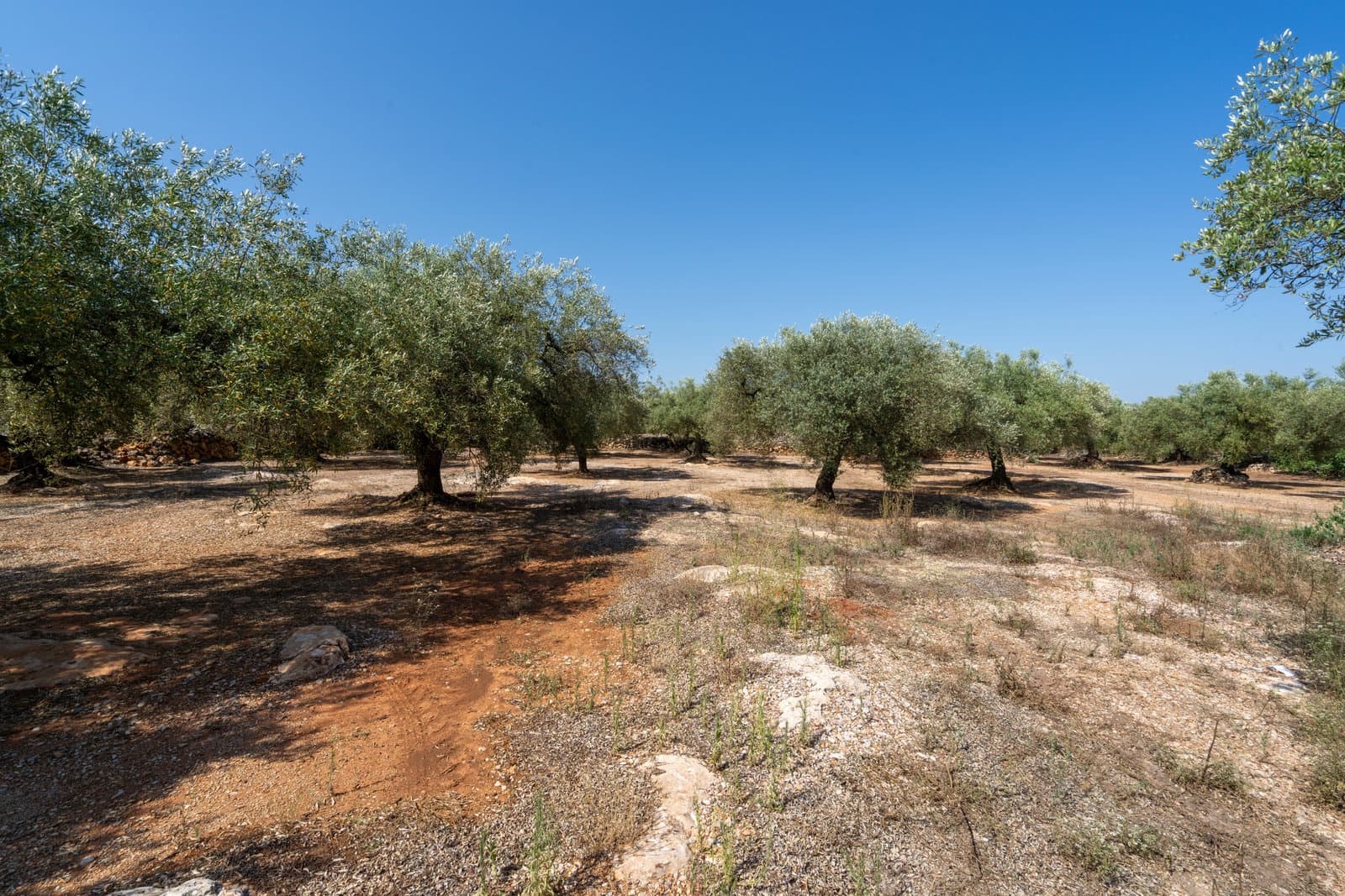Finca/Herregård til salgs i Ulldecona - € 34 000 (Ref: 9096252)