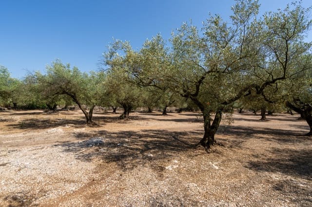Finca/Herregård til salgs i Ulldecona - € 34 000 (Ref: 9096252)