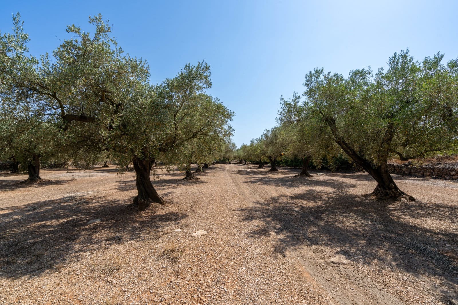 Finca/Herregård til salgs i Ulldecona - € 34 000 (Ref: 9096252)