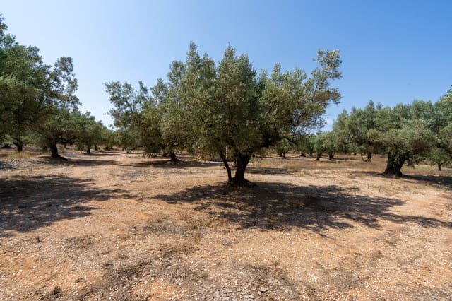 Finca/Casa di Campagna in vendita in Godall - 14.000 € (Rif: 9096253)