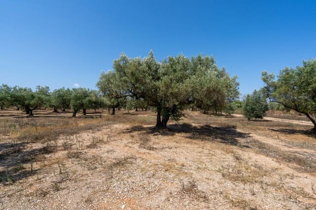 Finca/Casa di Campagna in vendita in Godall - 14.000 € (Rif: 9096253)
